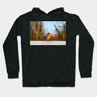 Robin Hoodie